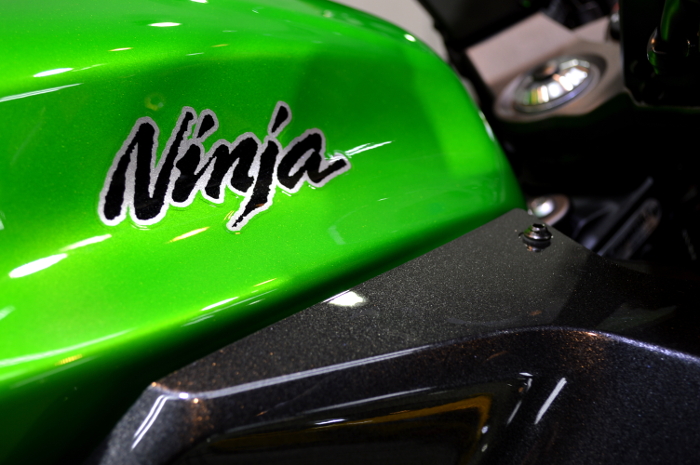 ninja1000-06.jpg