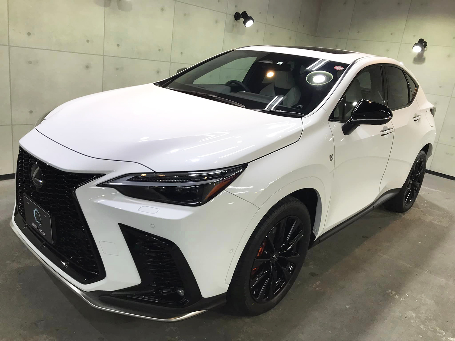lexusnx450h-17.jpg
